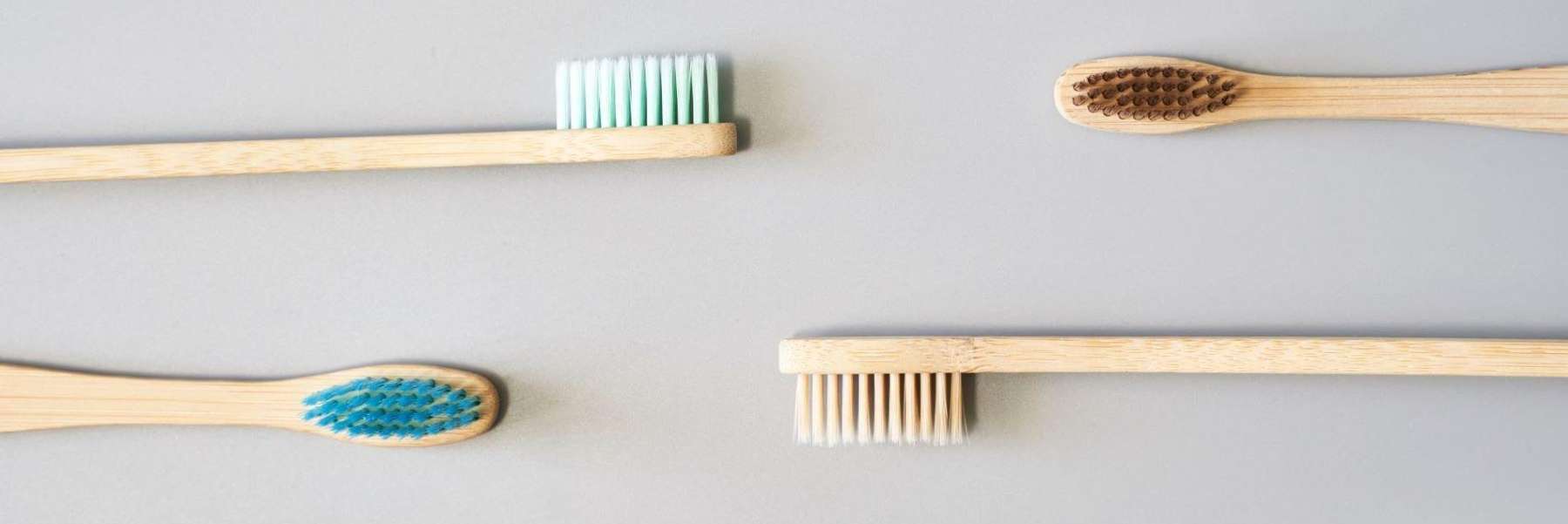 close up of toothbrushes | dentist near me